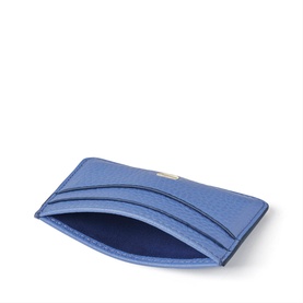 Slim Credit Cardholder