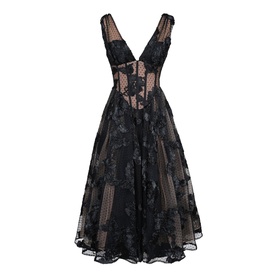 Sianna Embroidered Tulle Dress