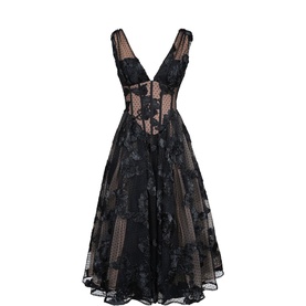 Sianna Embroidered Tulle Dress