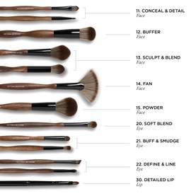 Brush Collection - 14 Fan 
