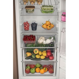 Built In 55cm Tall Integrated Fridge with Ice Box 30/262L