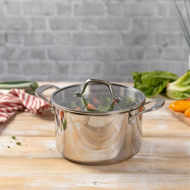 Allround Plus Pot 20cm