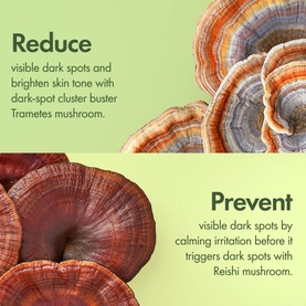 Mega-Mushroom Dark Spot Corrector Serum