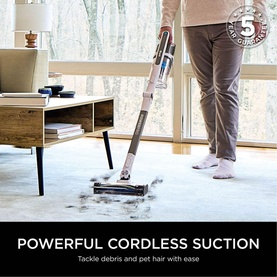 PowerPro Pet Cordless Stick Anti Hair Wrap
