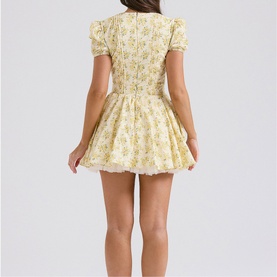 Imani Floral Pleated Mini Dress