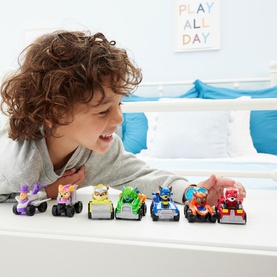Pup Squad Racers Assorted Toy
