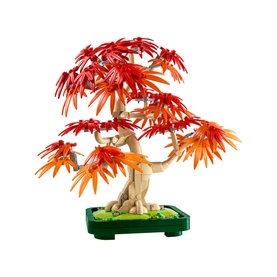 Botanicals Japanese Red Maple Bonsai Tree Plant D&eacute;cor