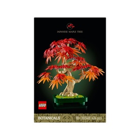 Botanicals Japanese Red Maple Bonsai Tree Plant D&eacute;cor