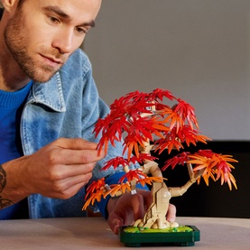 Botanicals Japanese Red Maple Bonsai Tree Plant D&eacute;cor
