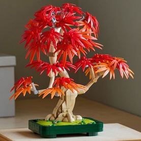 Botanicals Japanese Red Maple Bonsai Tree Plant D&eacute;cor