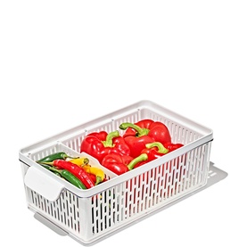Produce Saver: Medium Storage Bin