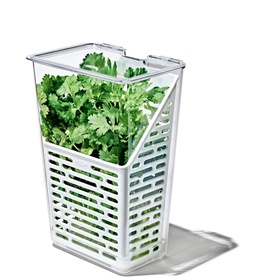 Produce Saver: Herb Keeper