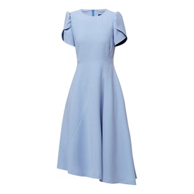 Vera Puff Sleeve Flared Dress