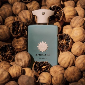 Search Eau de Parfum
