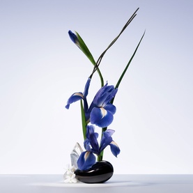 Prive Iris Bleu Eau de Toilette