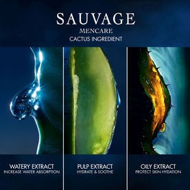 Sauvage Skincare Ritual Kit