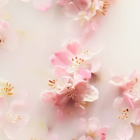 The Ritual of Sakura Refill Scented Candle