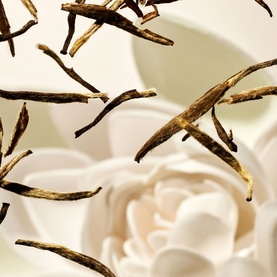 The Ritual of Karma Refill Scented Candle