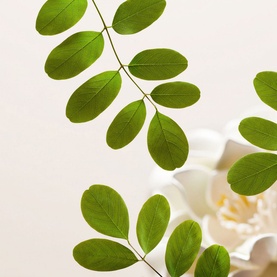 The Ritual of Namaste Gentle Cleansing Foam