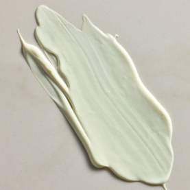 The Ritual of Namaste SPF 50 Daily Advanced Moisturiser
