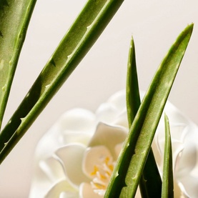 The Ritual of Namaste Clarifying Facial Toner