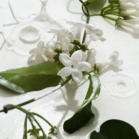 Heavy Cream Hair and Body Mist