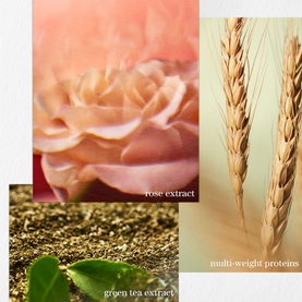 Hydrate Discovery Set for Dry Hair