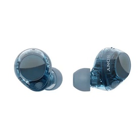 Active Noise Cancelling Earbuds Blue