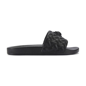 Meena Eagle Slides