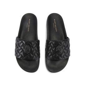 Meena Eagle Slides