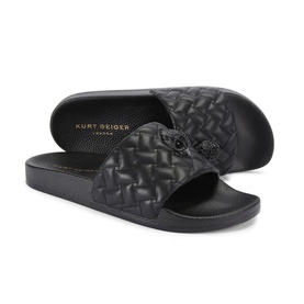 Meena Eagle Slides