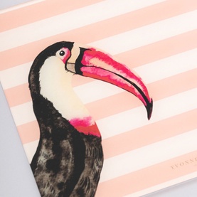Toucan Worktop Saver