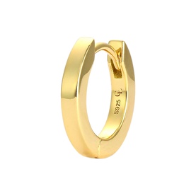 Single Hoop Earring