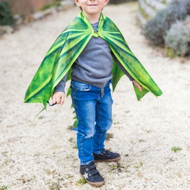 Legendary Dragon Soft Wings 4-6 Years