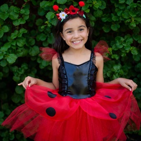 Ladybug Two-Piece Dress & Headband Set 5-6 Years