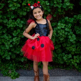 Ladybug Two-Piece Dress & Headband Set 5-6 Years