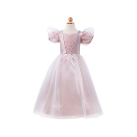 Platinum Princess Dress 3-4 Years