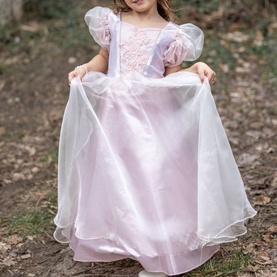 Platinum Princess Dress 3-4 Years