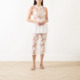 Antonie Sheer Floral Lace Dress