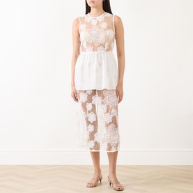 Antonie Sheer Floral Lace Dress