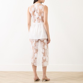 Antonie Sheer Floral Lace Dress