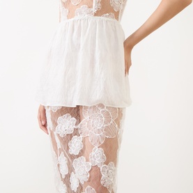 Antonie Sheer Floral Lace Dress