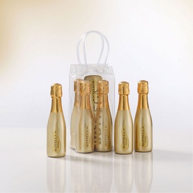 Gold Sparkling Set In Ice Bag 5 x 20cl
