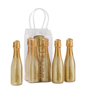 Gold Sparkling Set In Ice Bag 5 x 20cl
