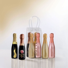 Mixed Sparkling Set In Ice Bag 4 x 20cl