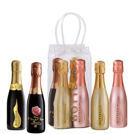 Mixed Sparkling Set In Ice Bag 4 x 20cl