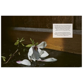 New Mags Flower Philosophy book open to a moody page featuring a fallen white magnolia bloom on a dark surface with text overlay