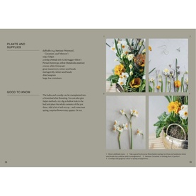 The Potted Garden