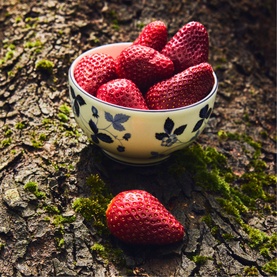 Wild Strawberry Inky Blue Cereal Bowl