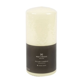 Unscented Pillar Candle 7 x 15